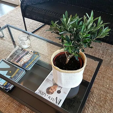 فندق Alba مارينا دي رافينا